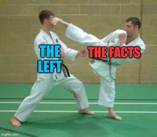 They Can't Hide Forever From | THE FACTS; THE LEFT | image tagged in facts,leftists,hide | made w/ Imgflip meme maker