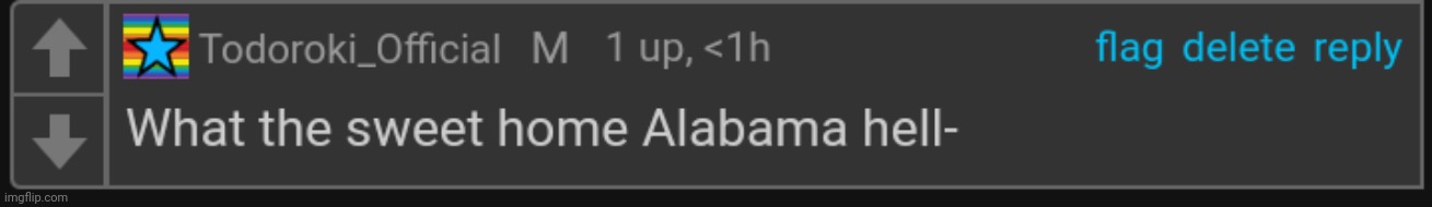 What the sweet home Alabama hell | image tagged in what the sweet home alabama hell | made w/ Imgflip meme maker