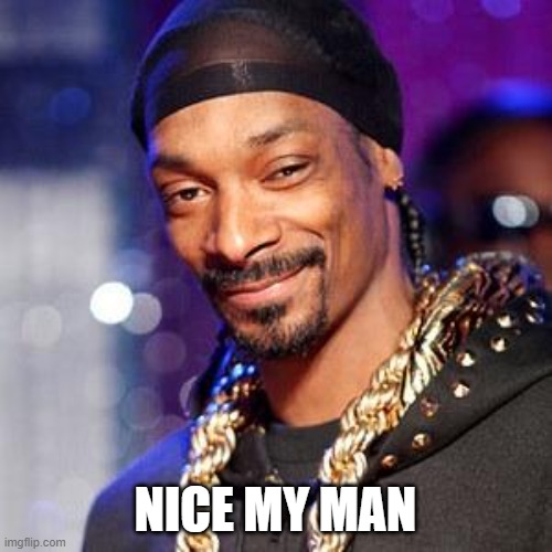 Snoop dogg | NICE MY MAN | image tagged in snoop dogg | made w/ Imgflip meme maker