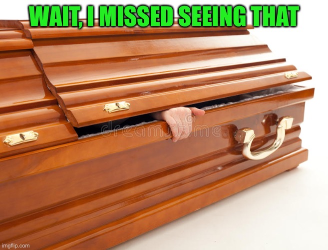 Still Alive Coffin | WAIT, I MISSED SEEING THAT | image tagged in still alive coffin | made w/ Imgflip meme maker