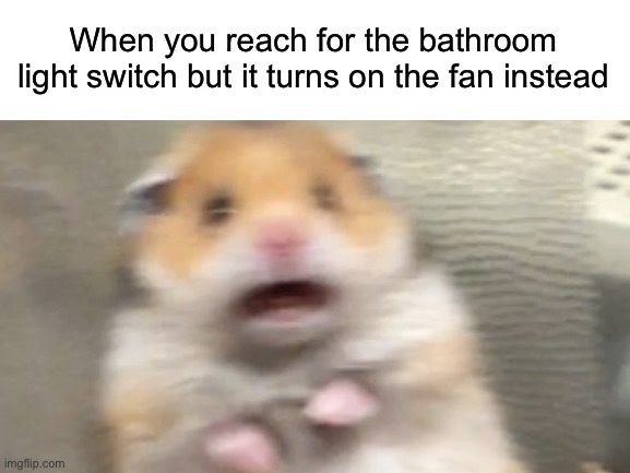 When you reach for the bathroom light switch but it turns on the fan instead | made w/ Imgflip meme maker