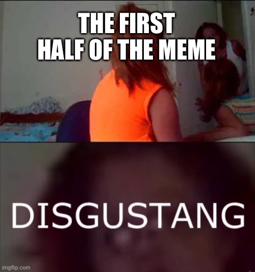 DISGUSTANG | THE FIRST HALF OF THE MEME | image tagged in disgustang | made w/ Imgflip meme maker