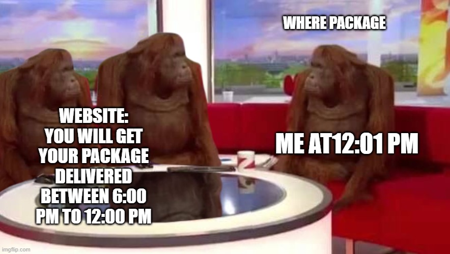 Meme #1 | WHERE PACKAGE; WEBSITE: YOU WILL GET YOUR PACKAGE DELIVERED BETWEEN 6:00 PM TO 12:00 PM; ME AT12:01 PM | image tagged in where monkey | made w/ Imgflip meme maker