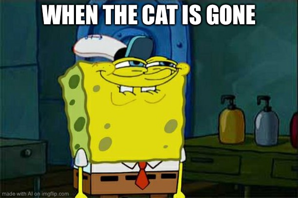 Guilty spongebob was hungry | WHEN THE CAT IS GONE | image tagged in memes,don't you squidward,cat | made w/ Imgflip meme maker