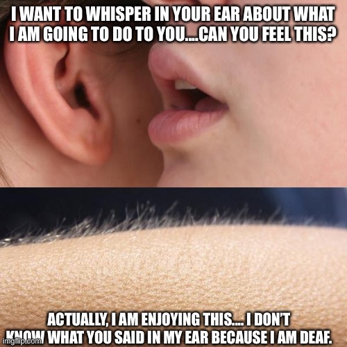 Whisper and Goosebumps | I WANT TO WHISPER IN YOUR EAR ABOUT WHAT I AM GOING TO DO TO YOU....CAN YOU FEEL THIS? ACTUALLY, I AM ENJOYING THIS.... I DON’T KNOW WHAT YOU SAID IN MY EAR BECAUSE I AM DEAF. | image tagged in whisper and goosebumps,feel,enjoy,deaf,understand | made w/ Imgflip meme maker