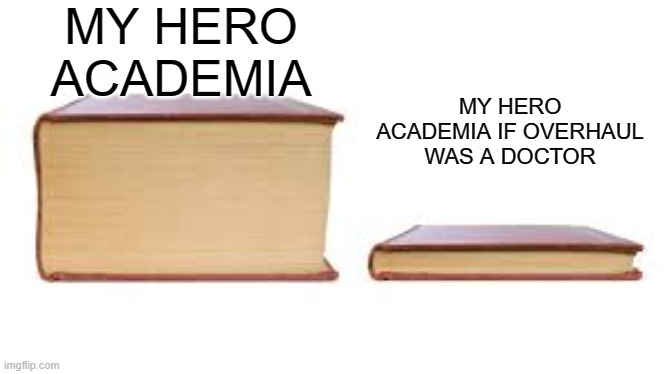 Idk | MY HERO ACADEMIA; MY HERO ACADEMIA IF OVERHAUL WAS A DOCTOR | image tagged in big book small book | made w/ Imgflip meme maker