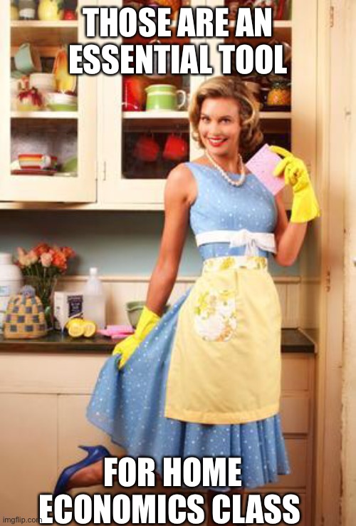 Happy House Wife | THOSE ARE AN ESSENTIAL TOOL FOR HOME ECONOMICS CLASS | image tagged in happy house wife | made w/ Imgflip meme maker