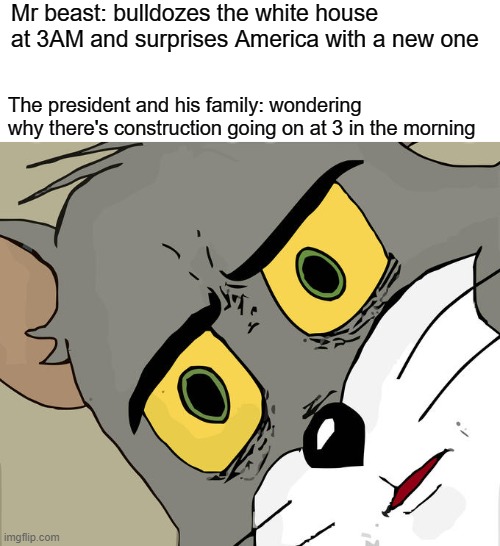 Unsettled Tom | Mr beast: bulldozes the white house at 3AM and surprises America with a new one; The president and his family: wondering why there's construction going on at 3 in the morning | image tagged in memes | made w/ Imgflip meme maker