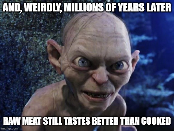 Angry Gollum | AND, WEIRDLY, MILLIONS OF YEARS LATER RAW MEAT STILL TASTES BETTER THAN COOKED | image tagged in angry gollum | made w/ Imgflip meme maker