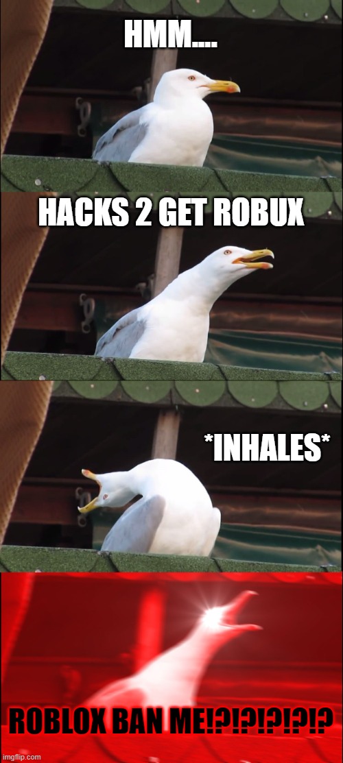 When u hack 2 get robux in ROBLOX | HMM.... HACKS 2 GET ROBUX; *INHALES*; ROBLOX BAN ME!?!?!?!?!? | image tagged in memes,inhaling seagull | made w/ Imgflip meme maker