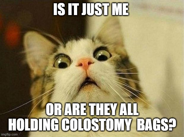 Scared Cat Meme | IS IT JUST ME OR ARE THEY ALL HOLDING COLOSTOMY  BAGS? | image tagged in memes,scared cat | made w/ Imgflip meme maker