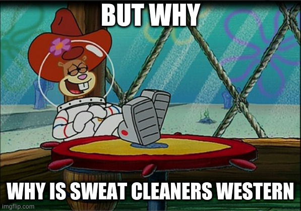 S A L T C R E E K S 2 | BUT WHY; WHY IS SWEAT CLEANERS WESTERN | image tagged in sandy cheeks | made w/ Imgflip meme maker