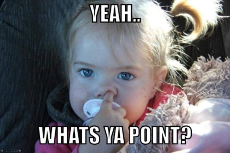 image tagged in what's ya point,finger,picking nose,get to the point,so what | made w/ Imgflip meme maker
