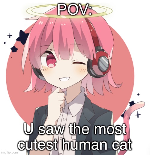 Most cutest cat | POV:; U saw the most cutest human cat | image tagged in most cutest cat | made w/ Imgflip meme maker