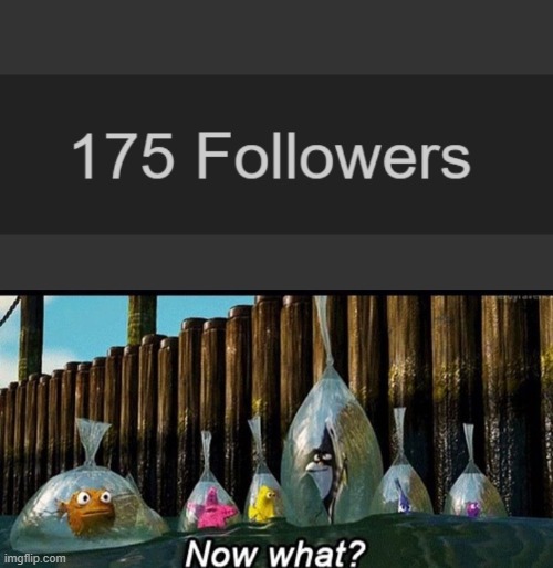 image tagged in now what | made w/ Imgflip meme maker