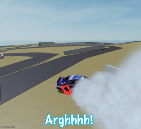 Yo, Silver just hit his dad and crashed at the end of stage 1. | Arghhhh! | image tagged in shadow the hedgehog,shadow,silver,memes,nascar,nmcs | made w/ Imgflip meme maker
