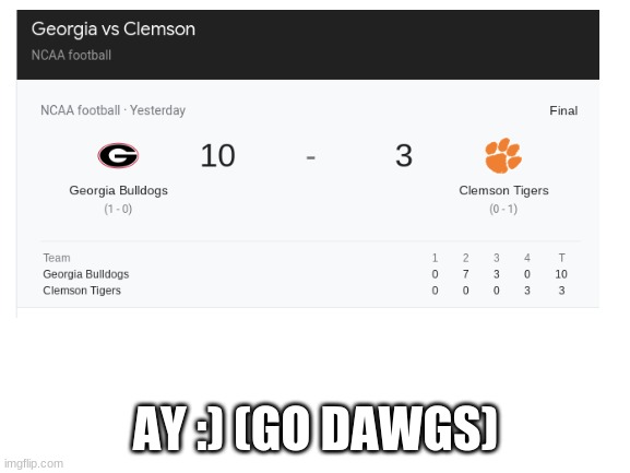 yeah ive been a georgia fan for like 4 years soooo...... | AY :) (GO DAWGS) | image tagged in blank white template,georgia | made w/ Imgflip meme maker