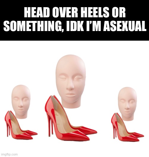 Someone explain | HEAD OVER HEELS OR SOMETHING, IDK I’M ASEXUAL | image tagged in asexual,bruh,haha,meme | made w/ Imgflip meme maker