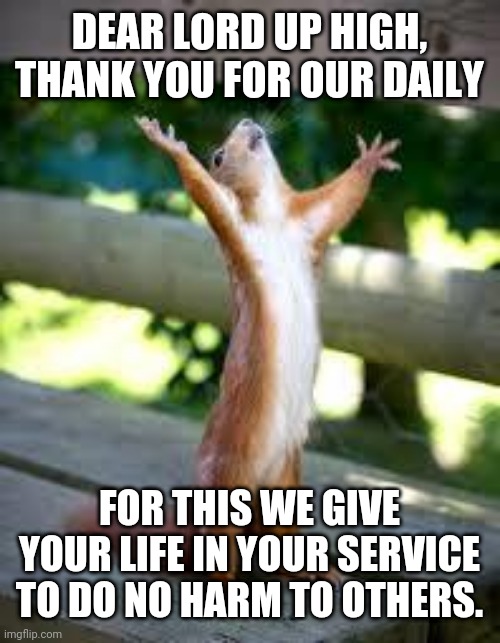 They like peanut butter sandwiches |  DEAR LORD UP HIGH, THANK YOU FOR OUR DAILY; FOR THIS WE GIVE YOUR LIFE IN YOUR SERVICE TO DO NO HARM TO OTHERS. | image tagged in praise squirrel | made w/ Imgflip meme maker