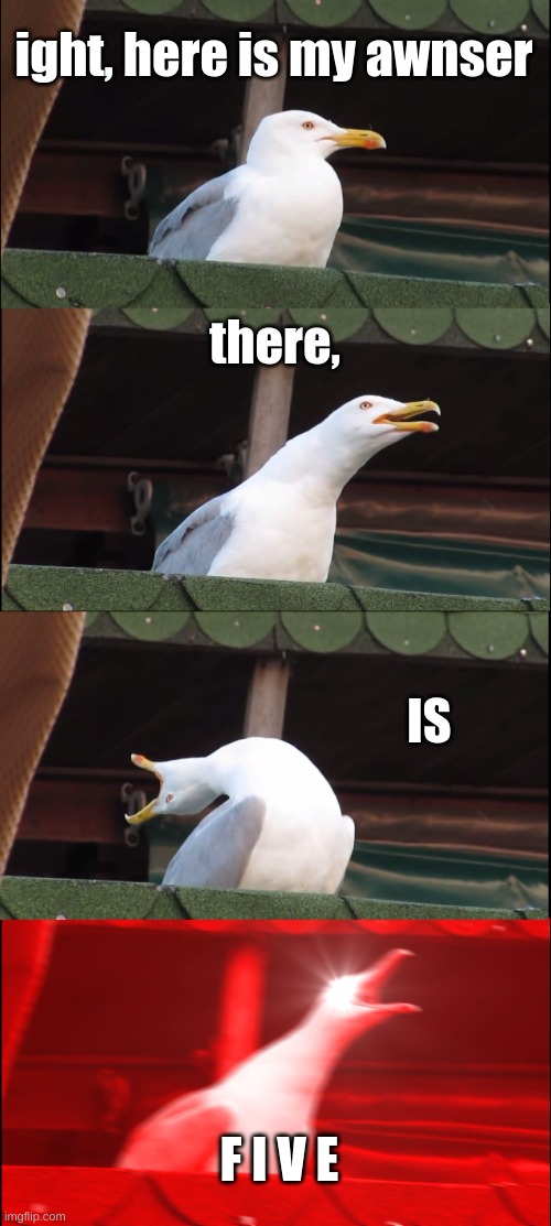Inhaling Seagull Meme | ight, here is my awnser there, IS F I V E | image tagged in memes,inhaling seagull | made w/ Imgflip meme maker