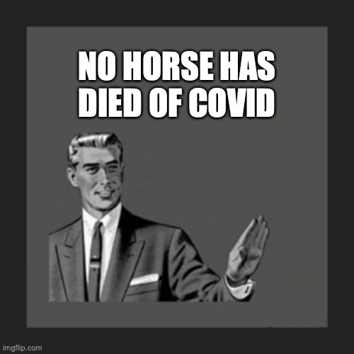 Kill Yourself Guy |  NO HORSE HAS DIED OF COVID | image tagged in memes,kill yourself guy | made w/ Imgflip meme maker