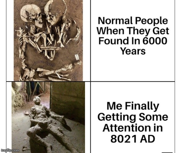 image tagged in funny memes | made w/ Imgflip meme maker
