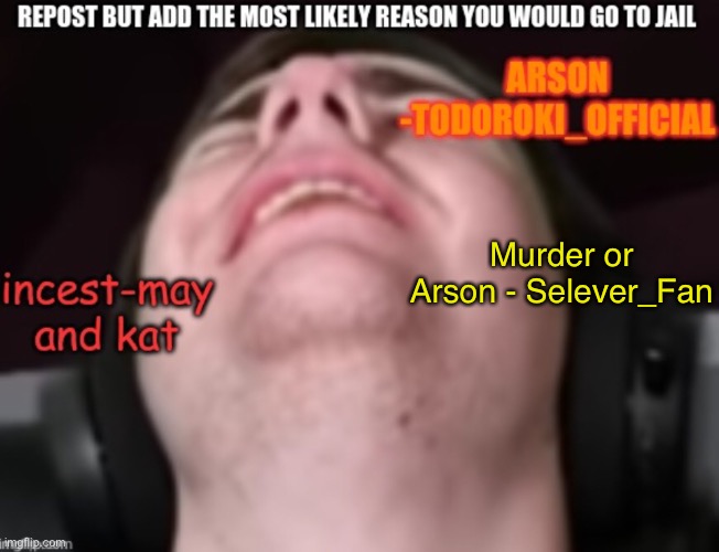 Repost this | Murder or Arson - Selever_Fan | image tagged in repost | made w/ Imgflip meme maker