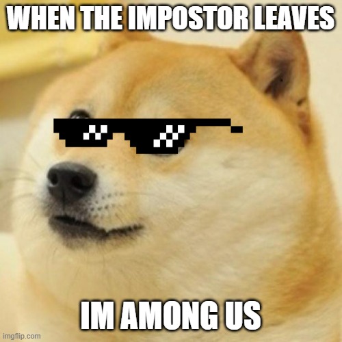 wow doge | WHEN THE IMPOSTOR LEAVES IM AMONG US | image tagged in wow doge | made w/ Imgflip meme maker