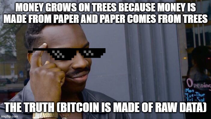 Roll Safe Think About It Meme | MONEY GROWS ON TREES BECAUSE MONEY IS MADE FROM PAPER AND PAPER COMES FROM TREES; THE TRUTH (BITCOIN IS MADE OF RAW DATA) | image tagged in memes,roll safe think about it | made w/ Imgflip meme maker