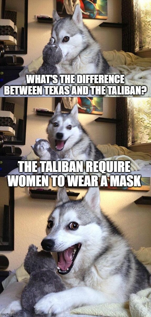 Bad Pun Dog Meme | WHAT'S THE DIFFERENCE BETWEEN TEXAS AND THE TALIBAN? THE TALIBAN REQUIRE WOMEN TO WEAR A MASK | image tagged in memes,bad pun dog | made w/ Imgflip meme maker