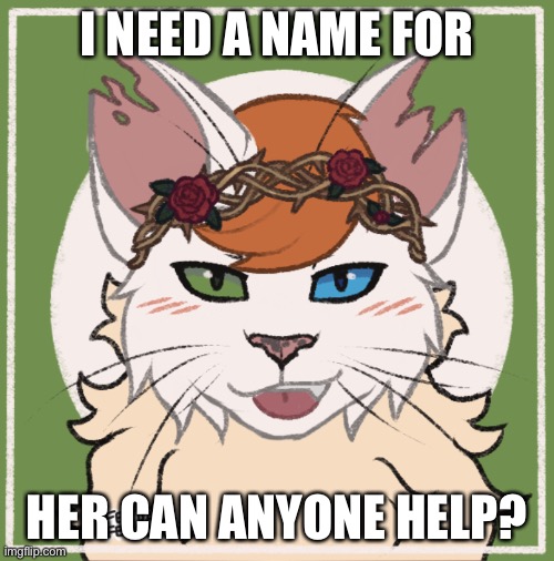 I need a name | I NEED A NAME FOR; HER CAN ANYONE HELP? | image tagged in name her,please | made w/ Imgflip meme maker