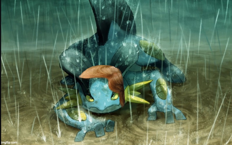 The Best Swampert 999 | image tagged in the best swampert 999 | made w/ Imgflip meme maker