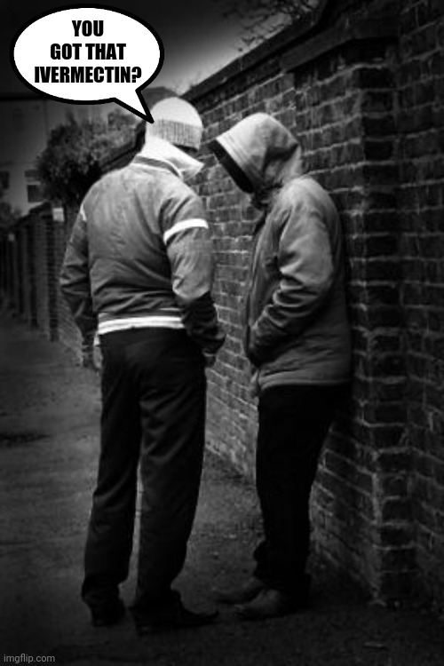 Real sad when this is how you get life saving therapeutics. | YOU GOT THAT IVERMECTIN? | image tagged in memes | made w/ Imgflip meme maker