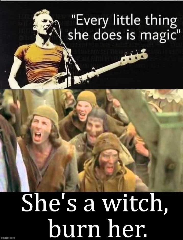 She's a witch, 
burn her. | image tagged in she's a witch burn her monty python | made w/ Imgflip meme maker
