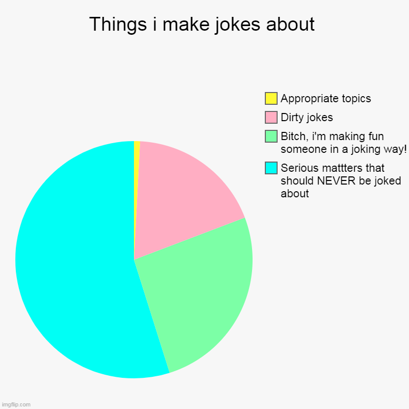 Things i make jokes about | Serious mattters that should NEVER be joked about, Bitch, i'm making fun someone in a joking way!, Dirty jokes,  | image tagged in pie charts,things i make jokes about,jokes | made w/ Imgflip chart maker