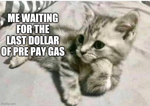 ME WAITING FOR THE LAST DOLLAR OF PRE PAY GAS | image tagged in funny memes | made w/ Imgflip meme maker