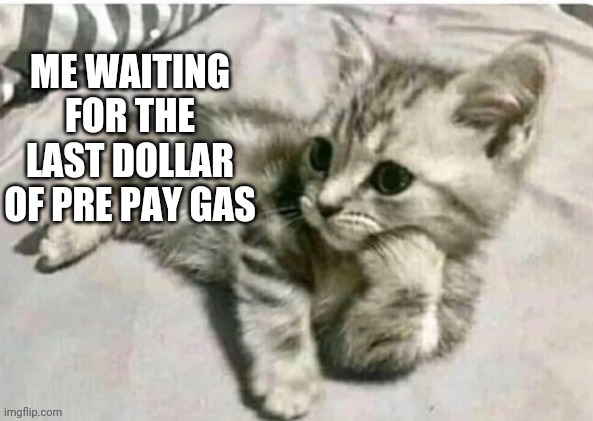 image tagged in funny memes | made w/ Imgflip meme maker