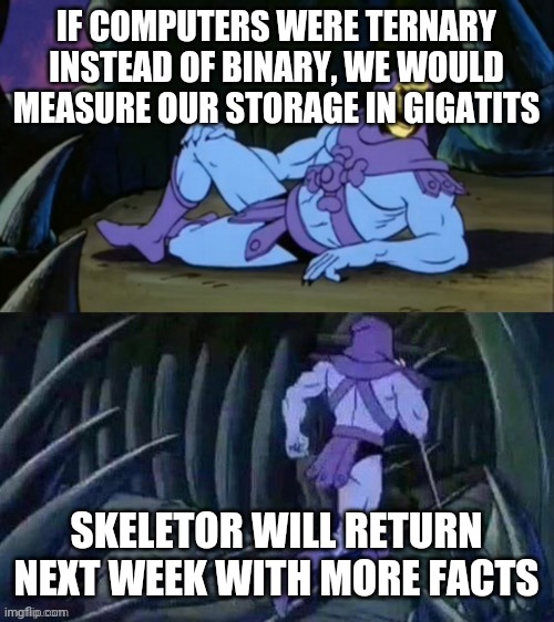 Skeletor disturbing facts | IF COMPUTERS WERE TERNARY INSTEAD OF BINARY, WE WOULD MEASURE OUR STORAGE IN GIGATITS; SKELETOR WILL RETURN NEXT WEEK WITH MORE FACTS | image tagged in skeletor disturbing facts | made w/ Imgflip meme maker
