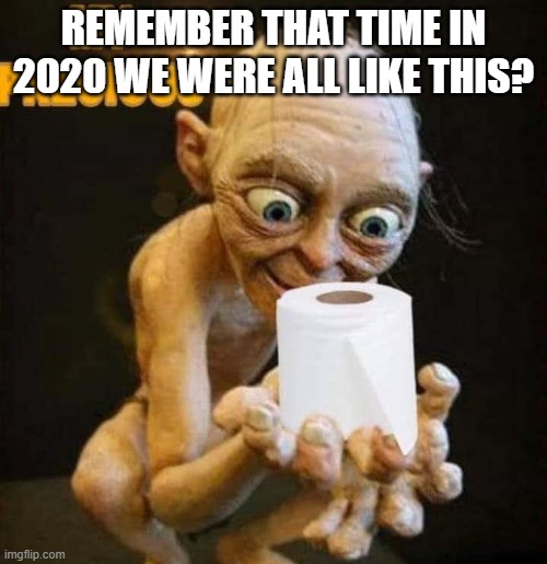 lets hope we don't go back to that | REMEMBER THAT TIME IN 2020 WE WERE ALL LIKE THIS? | image tagged in toilet paper,2020 | made w/ Imgflip meme maker