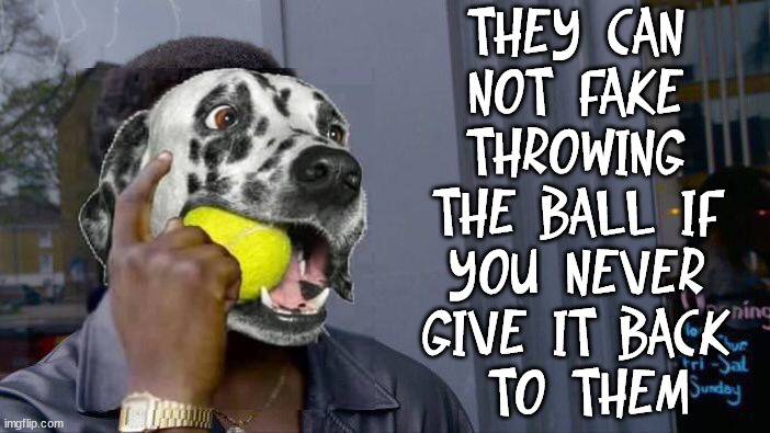 Roll Safe Think About It | THEY CAN 
NOT FAKE 
THROWING 
THE BALL IF 
YOU NEVER 
GIVE IT BACK 
TO THEM | image tagged in memes,roll safe think about it,dogs | made w/ Imgflip meme maker