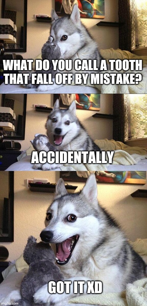Bad Pun Dog | WHAT DO YOU CALL A TOOTH THAT FALL OFF BY MISTAKE? ACCIDENTALLY; GOT IT XD | image tagged in memes,bad pun dog | made w/ Imgflip meme maker