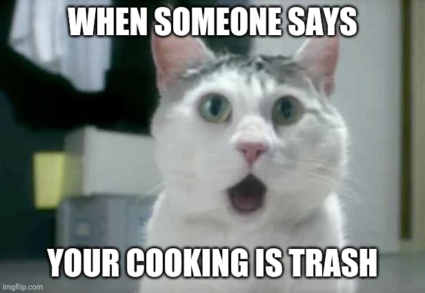 OMG Cat Meme | WHEN SOMEONE SAYS; YOUR COOKING IS TRASH | image tagged in memes,omg cat | made w/ Imgflip meme maker