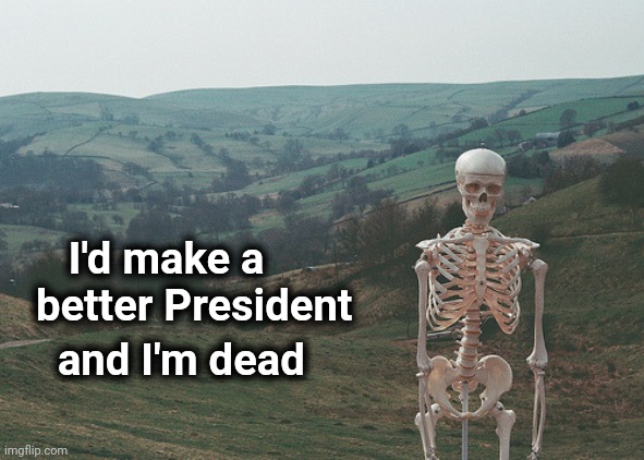 Skeleton vacation | I'd make a
 better President and I'm dead | image tagged in skeleton vacation | made w/ Imgflip meme maker