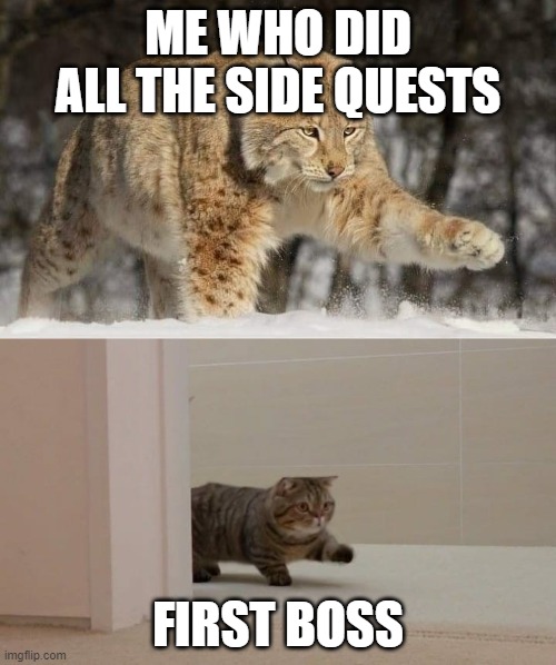 Big and smol cat | ME WHO DID ALL THE SIDE QUESTS; FIRST BOSS | image tagged in big and smol cat | made w/ Imgflip meme maker