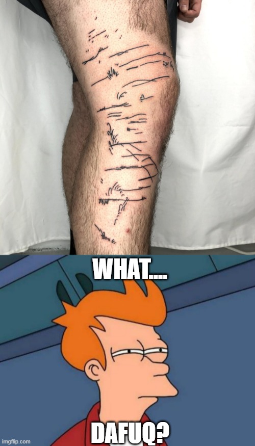IS THAT A SWAMP? | WHAT.... DAFUQ? | image tagged in memes,futurama fry,tattoos,bad tattoos | made w/ Imgflip meme maker