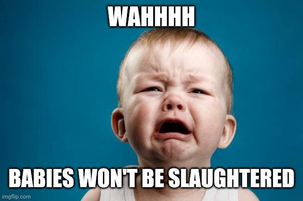 BABY CRYING | WAHHHH BABIES WON'T BE SLAUGHTERED | image tagged in baby crying | made w/ Imgflip meme maker