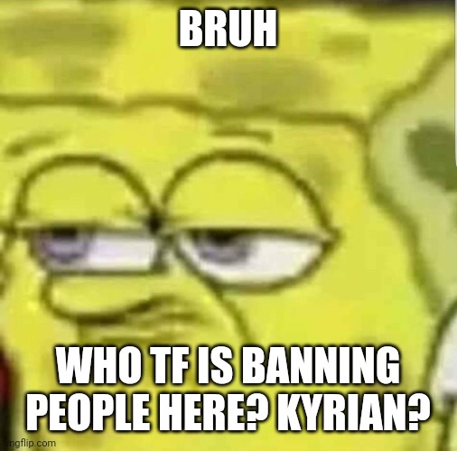 spongebob | BRUH; WHO TF IS BANNING PEOPLE HERE? KYRIAN? | image tagged in spongebob | made w/ Imgflip meme maker