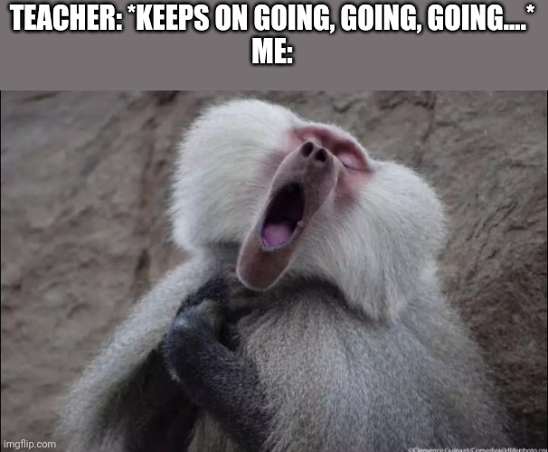 Classroom truth | TEACHER: *KEEPS ON GOING, GOING, GOING....*
ME: | image tagged in yawning macaque | made w/ Imgflip meme maker