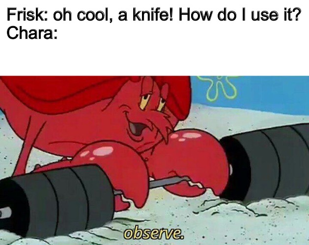 Observe | Frisk: oh cool, a knife! How do I use it?
Chara: | image tagged in observe | made w/ Imgflip meme maker
