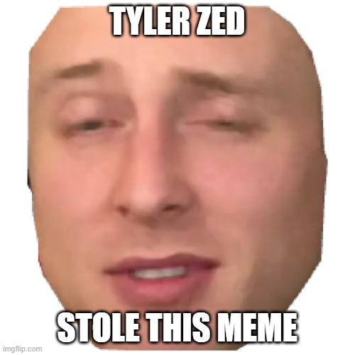 Tyler Zed | TYLER ZED STOLE THIS MEME | image tagged in tyler zed | made w/ Imgflip meme maker